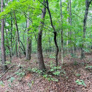 Photo #5 of Main Street, Hurt, VA 27.3 acres
