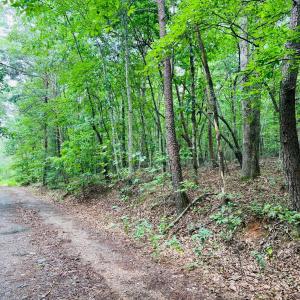 Photo #1 of Main Street, Hurt, VA 27.3 acres