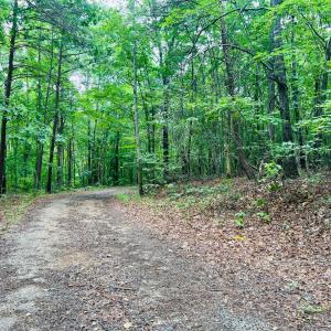 Photo #2 of Main Street, Hurt, VA 27.3 acres