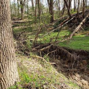 Photo #31 of Deal, Mooresville, NC 49.3 acres