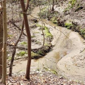 Photo #26 of Deal, Mooresville, NC 49.3 acres