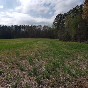 Photo #8 of Deal, Mooresville, NC 49.3 acres