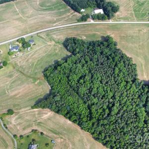 Photo #41 of Deal, Mooresville, NC 49.3 acres