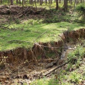 Photo #30 of Deal, Mooresville, NC 49.3 acres