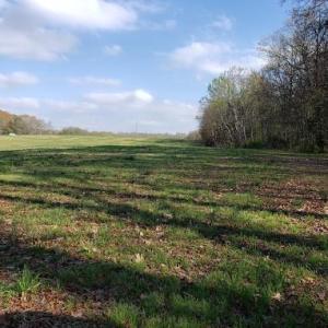 Photo #9 of Deal, Mooresville, NC 49.3 acres