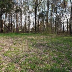 Photo #13 of Deal, Mooresville, NC 49.3 acres