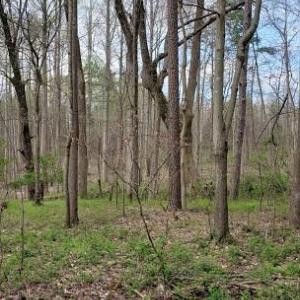 Photo #38 of Deal, Mooresville, NC 49.3 acres