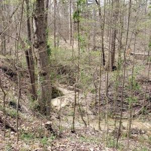 Photo #20 of Deal, Mooresville, NC 49.3 acres