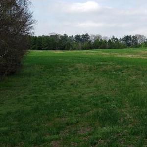 Photo #10 of Deal, Mooresville, NC 49.3 acres