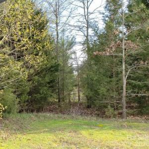 Photo #37 of Deal, Mooresville, NC 49.3 acres
