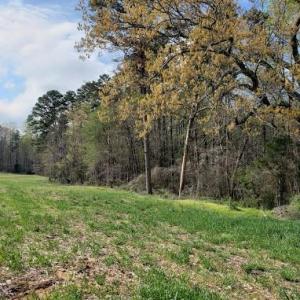 Photo #33 of Deal, Mooresville, NC 49.3 acres