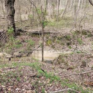 Photo #18 of Deal, Mooresville, NC 49.3 acres