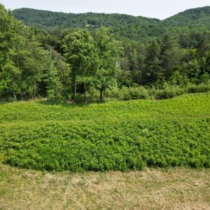 Photo #4 of River Rock Road, Vinton, VA 1.0 acres