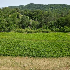Photo #5 of River Rock Road, Vinton, VA 5.1 acres