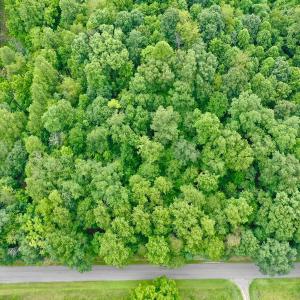 Photo #47 of Stewartsville Rd, Vinton, VA 17.5 acres