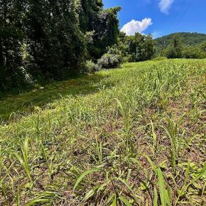 Photo #57 of Stewartsville Rd, Vinton, VA 17.5 acres