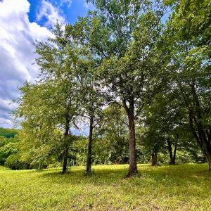 Photo #32 of Stewartsville Rd, Vinton, VA 17.5 acres