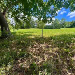 Photo #51 of Stewartsville Rd, Vinton, VA 17.5 acres