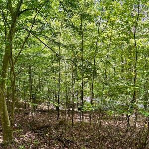 Photo #44 of Stewartsville Rd, Vinton, VA 17.5 acres