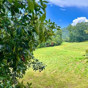 Photo #56 of Stewartsville Rd, Vinton, VA 17.5 acres