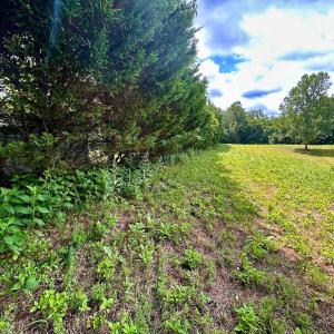 Photo #38 of Stewartsville Rd, Vinton, VA 17.5 acres