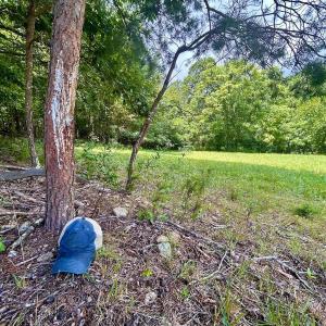 Photo #52 of Stewartsville Rd, Vinton, VA 17.5 acres