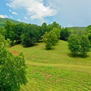 Photo #55 of Stewartsville Rd, Vinton, VA 17.5 acres