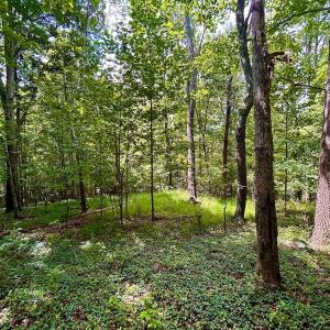 Photo #40 of Stewartsville Rd, Vinton, VA 17.5 acres
