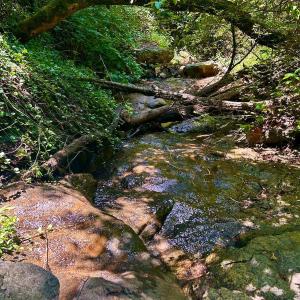Photo #49 of Stewartsville Rd, Vinton, VA 17.5 acres