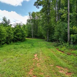 Photo #14 of Allens Creek Rd, Gladstone, VA 86.8 acres