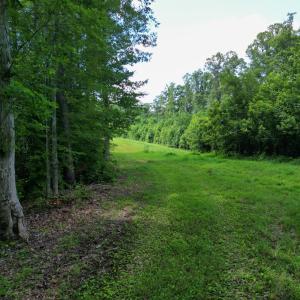 Photo #16 of Allens Creek Rd, Gladstone, VA 86.8 acres