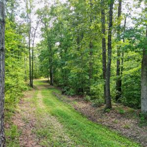 Photo #15 of Allens Creek Rd, Gladstone, VA 86.8 acres