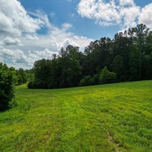 Photo #17 of Allens Creek Rd, Gladstone, VA 86.8 acres