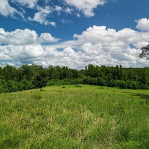 Photo #26 of Allens Creek Rd, Gladstone, VA 86.8 acres