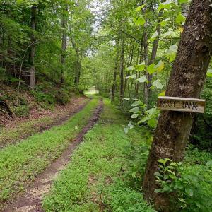 Photo #5 of Allens Creek Rd, Gladstone, VA 86.8 acres