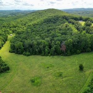 Photo #11 of Allens Creek Rd, Gladstone, VA 86.8 acres