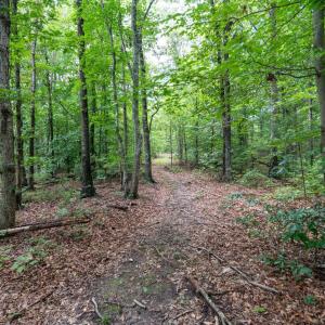 Photo #31 of Allens Creek Rd, Gladstone, VA 86.8 acres