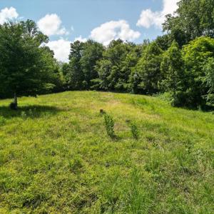 Photo #24 of Allens Creek Rd, Gladstone, VA 86.8 acres