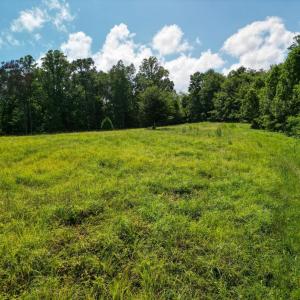 Photo #23 of Allens Creek Rd, Gladstone, VA 86.8 acres