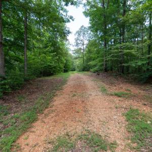 Photo #8 of Allens Creek Rd, Gladstone, VA 86.8 acres