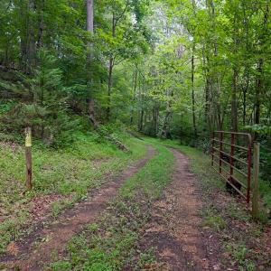 Photo #4 of Allens Creek Rd, Gladstone, VA 86.8 acres