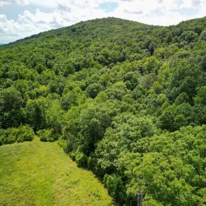 Photo #20 of Allens Creek Rd, Gladstone, VA 86.8 acres