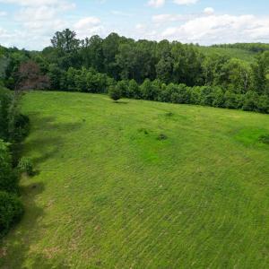 Photo #21 of Allens Creek Rd, Gladstone, VA 86.8 acres