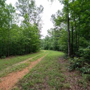 Photo #9 of Allens Creek Rd, Gladstone, VA 86.8 acres