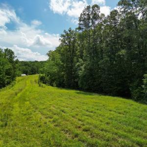 Photo #18 of Allens Creek Rd, Gladstone, VA 86.8 acres