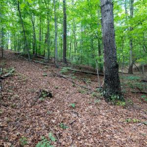 Photo #28 of Allens Creek Rd, Gladstone, VA 86.8 acres