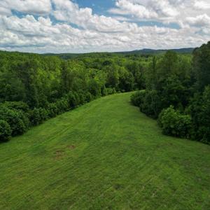 Photo #12 of Allens Creek Rd, Gladstone, VA 86.8 acres