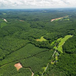 Photo #36 of Allens Creek Rd, Gladstone, VA 86.8 acres