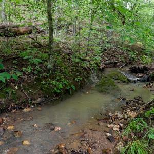 Photo #3 of Allens Creek Rd, Gladstone, VA 86.8 acres