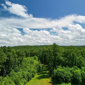 Photo #33 of Allens Creek Rd, Gladstone, VA 86.8 acres
